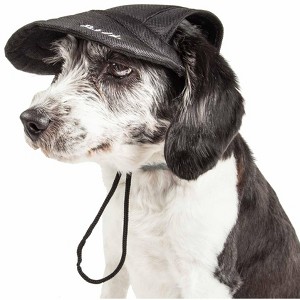 Pet Life Cap-Tivating UV Protectant Adjustable Fashion Dog Hat Cap, LG, Black - 1 of 4