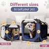 Large Cat Carrier & Dog Carrier for Most Cats or Small Dog. - 3 of 4