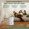 Waykar ENERGY STAR 34-150 Pints Quiet Dehumidifier - 3 Modes, Auto-Swing, Humidity Progress Bar,Off-White - 2 of 4
