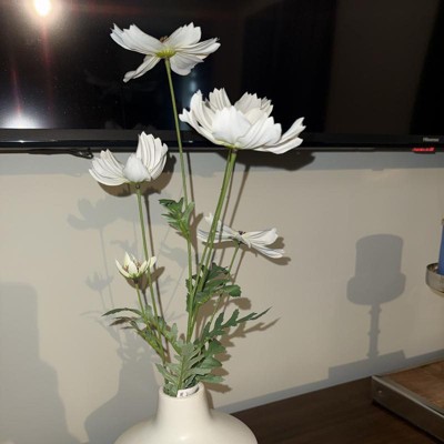 Guest review image 1 of 3, zoom in