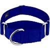 Country Brook Petz HossFit Jr Wide Martingale Dog Collar - Training Collar with No Buckle - Vibrant, Colorful Collection - 2 of 4