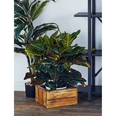 Rustic Brown Pine and Mango Wood Stackable Storage Crates, Set of 3