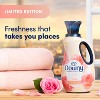 Downy Love in Paris Liquid Fabric Softener - 38 fl oz - 3 of 4