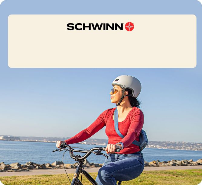 Schwinn Target
