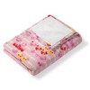 Sanrio Hello Kitty Xoxo Kitty Silk Touch Throw Blanket 50x60 Inches - 4 of 4