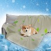 Kritter Planet Waterproof Cooling Blanket for Dogs, Reversible Leak-Proof Couch Bed Cover, Furniture Protector, Washable Comfortable Pet Blanket - 2 of 4