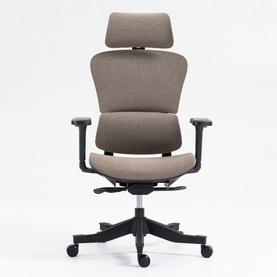 Dolonm Ergonomic Home Office Chair with Adjustable Lumbar & Headrest - Breathable Mesh Back, 4D Armrests, 90°-120° Recline