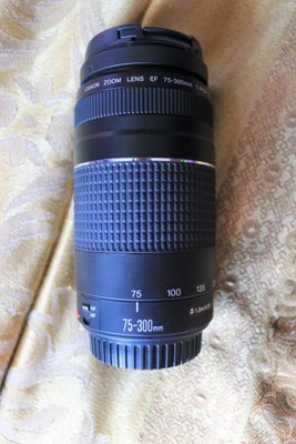 Canon EF 75-300 mm F / 4-5.6 III Teleobjetivo zoom - BuyGreen