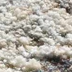 ivory, blue, mustard, peach, ice blue, medium gray