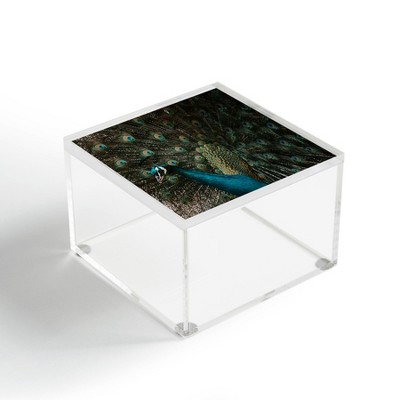 Ingrid Beddoes Peacock And Proud IV 4" x 4" Acrylic Box - Deny Designs