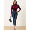 Allegra K Women's Puff Long Sleeve Turtleneck Elegant Velvet Velour Blouses - 4 of 4