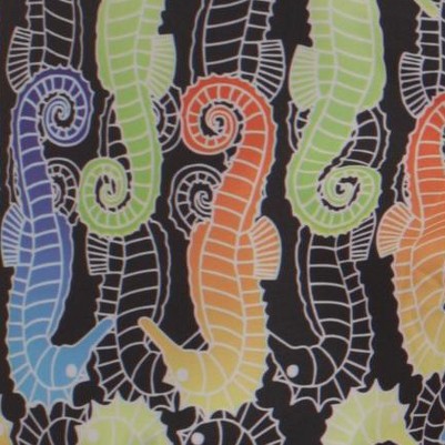 black - seahorse