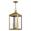 Livex Lighting Nyack 3 - Light Pendant in  Antique Brass - 2 of 4