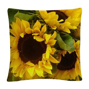 Decorative Throw Pillow by Trademark Fine Art - 1 of 4