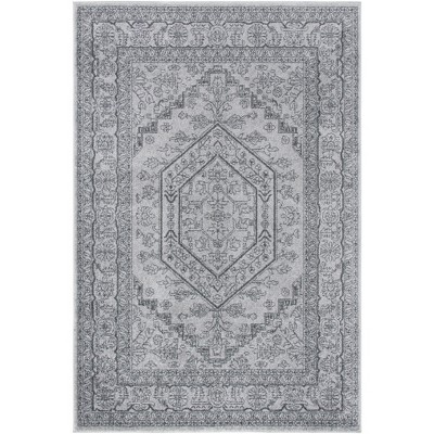 Adirondack ADR108 Machine Made Indoor Rug - Safavieh