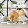 Bone Dry Pet Bowl - Set/2 - 3 of 4