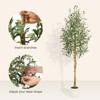 5/6/7ft Artificial Olive Tree - White Pot with Natural Wood Trunk & Fruits, Lifelike Faux Tree for Indoor Home Decor - 4 of 4