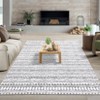 Area Rug for Luxury Living Room Machine Washable Abstract Line Accent Carpet Low Pile Bedroom Rug - 2 of 4