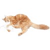 Imperial Cat Cat N` Around Pouncy Mouse Catnip Toy - 2 of 4