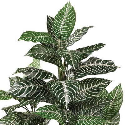 42" Green Silk Zebra Plant in Wicker Pot