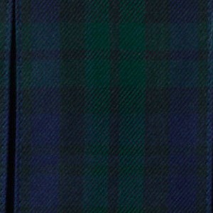 classic navy/evergreen plaid