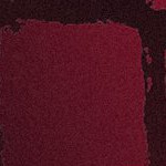 tampa bay buccaneers