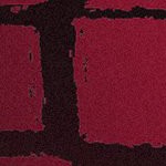 tampa bay buccaneers