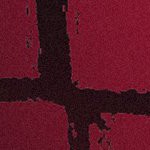 tampa bay buccaneers