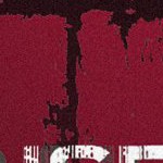 tampa bay buccaneers