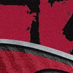 tampa bay buccaneers