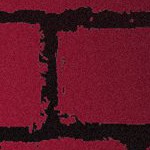 tampa bay buccaneers