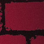 tampa bay buccaneers