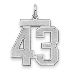 Black Bow Jewelry Sterling Silver, Jersey Collection, Medium Number 43 Pendant - 1 of 3