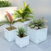 LeisureMod Sprout 7-Piece Square Stone Planter Set with Drainage Holes and Covers, Weather-Resistant for Indoor/Outdoor Use - 2 of 4