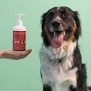 Natural Dog Company Skin & Coat Oil Food Topper - Salmon - 16oz - 4 of 4