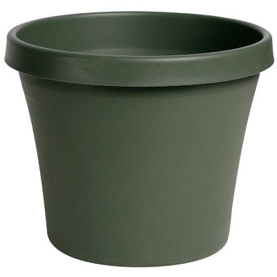 Bloem TerraPot 12.5 in. H X 14 in. D Resin Planter Living Green