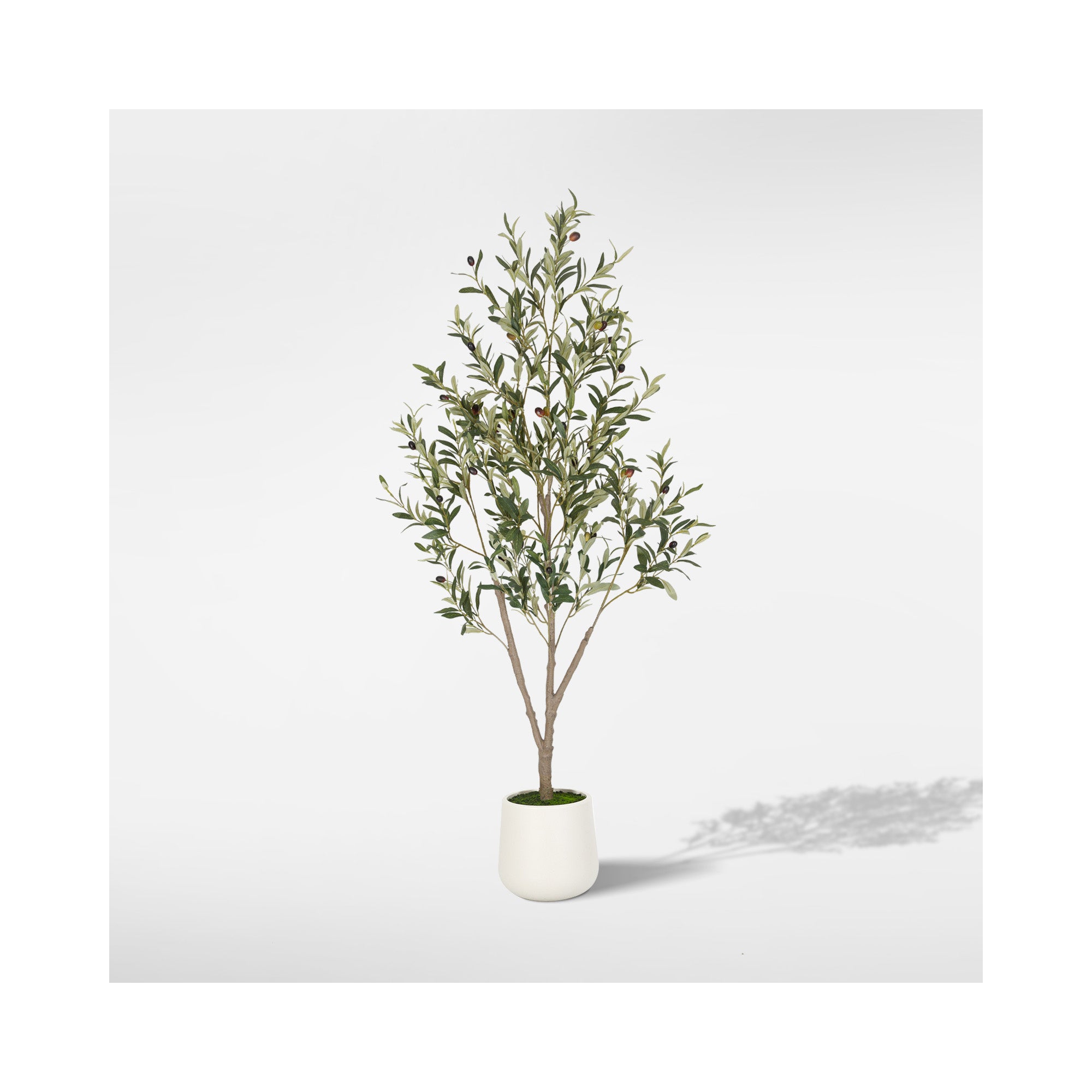 Romswi Olive Faux Tree, 5 ft Tall Artificial Olive Tree with White Tall Pot, with Natural Leaves Lifelike Fruits for Home Office Decor Indoor