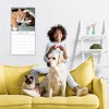 2026 Square Wall Calendar, Cats & Kittens, 16-Month Animals Theme with 180 Reminder Stickers (12x12 In) - 2 of 4