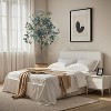 Artificial Eucalyptus Tree - Fake Silver Dollar Leaves, Realistic Eucalyptus Foliage, Silk Eucalyptus Plant, Decorative Indoor Plant - 4 of 4