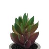 Unique Bargains Artificial Plants Plastic Pink 2.36"x2.36"x2.76" 1 Pcs - 4 of 4