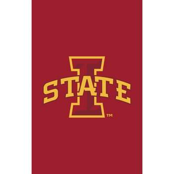 Evergreen NCAA Iowa State University Applique House Flag 28 x 44 Inches Outdoor Decor for Homes and Gardens