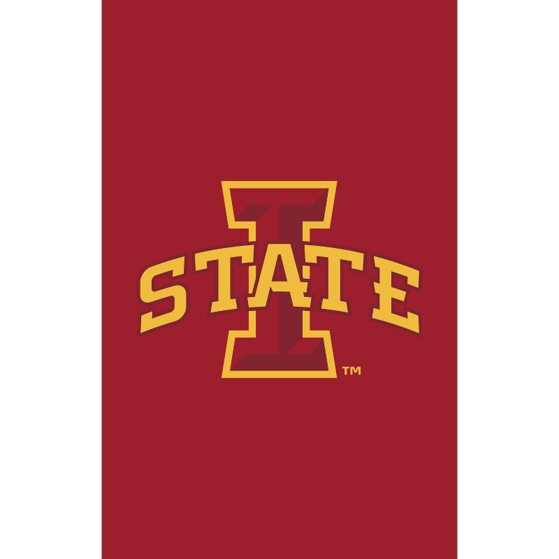 Evergreen NCAA Iowa State University Applique House Flag 28 x 44 Inches Outdoor Decor for Homes and Gardens, 1 of 8