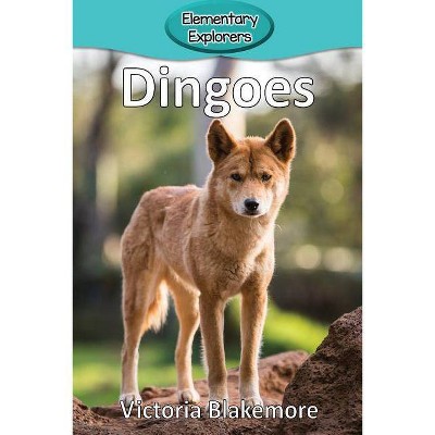 Dingoes - (Elementary Explorers) by  Victoria Blakemore (Paperback)