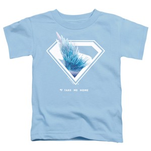Toddler Boy's Superman 2025 Movie Fortress of Solitude Shield T-Shirt - 1 of 3
