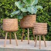 Bencmate Planters Outdoor Garden Bamboo Planters, Flowers Ferns Succulents Planter Pots for Hall Balcong Porch Home, 3 Pcs, Brown, 15"*15"*26" - 3 of 4