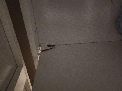 Guest review image 1 of 1, zoom in
