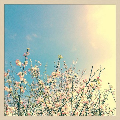 Springing Pink I Framed Graphic Art Print in Svelte Natural