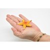 Starfish, Orange, Realistic Plastic Star Fish Model, Toy, Kids Educational Gift, Animal, Figure     1 Inches     CWG142 BB28 - 3 of 4