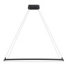 Elan Lighting Koloa 1 - Light Chandelier in  Matte Black - 3 of 4