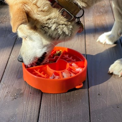 Green Outdoor Design Slow Feeder Dog Bowl